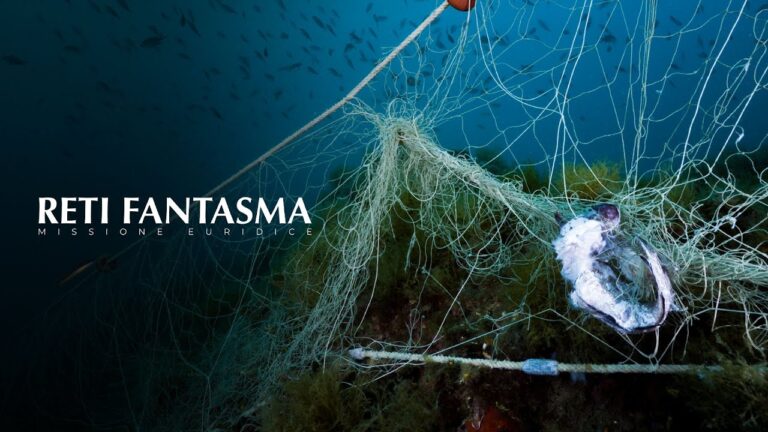Una missione subacquea libererà il Golfo di Cefalù dalle reti fantasma