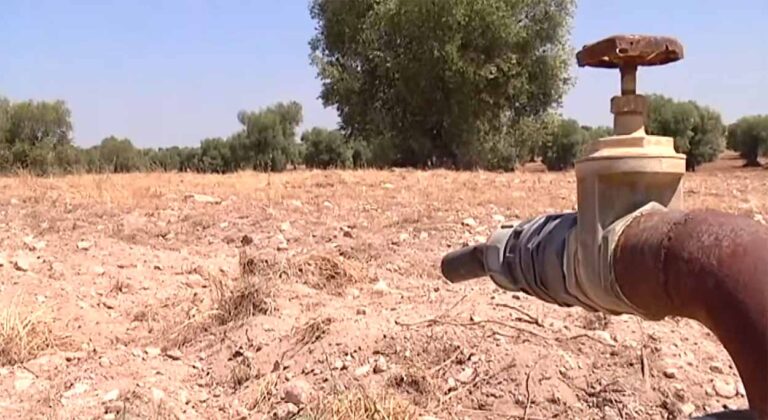 Siccità Puglia, l'Acquedotto Pugliese ha un piano
