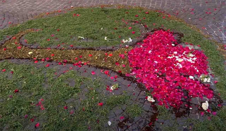 tappeti di Petali tornano nel 2025 in Salento